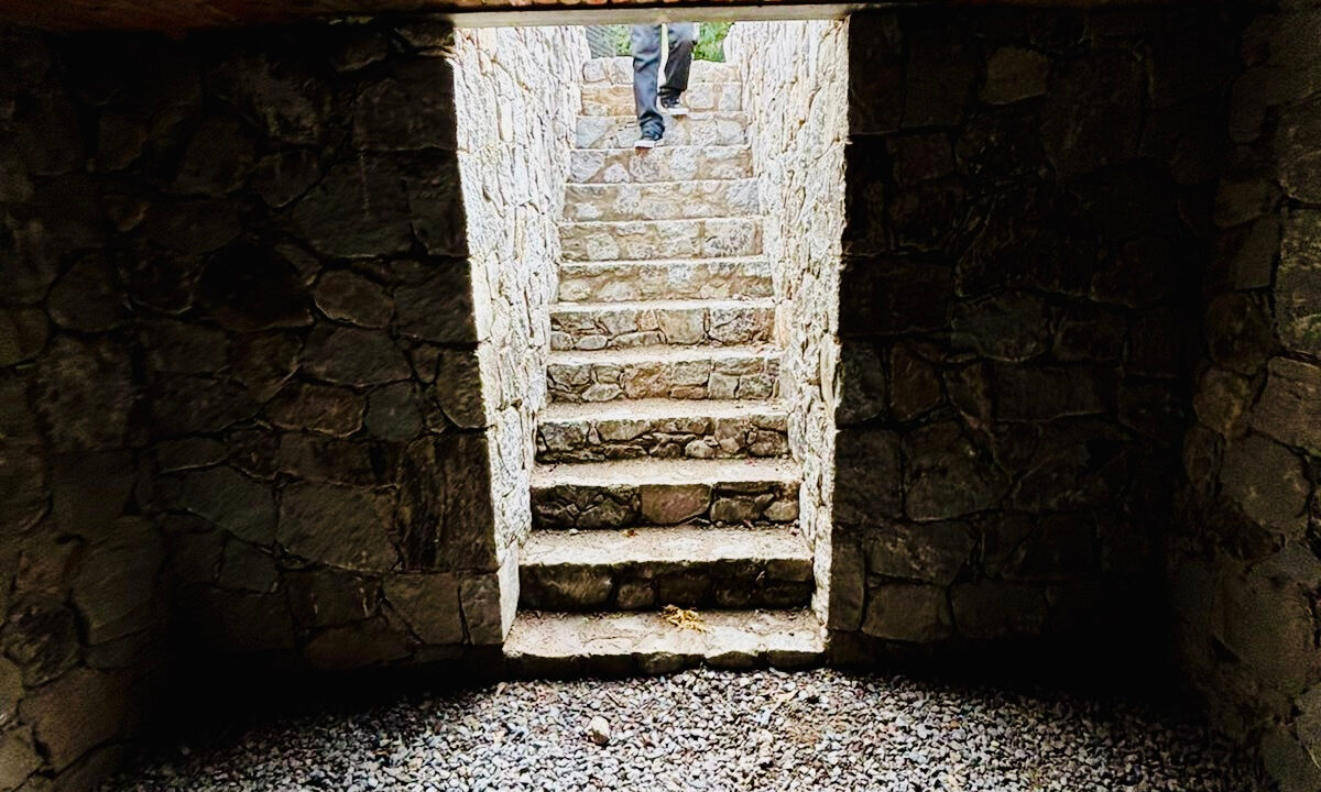 e50663b7-72ee-4d1a-ad6b-2bac0a6cfbfb