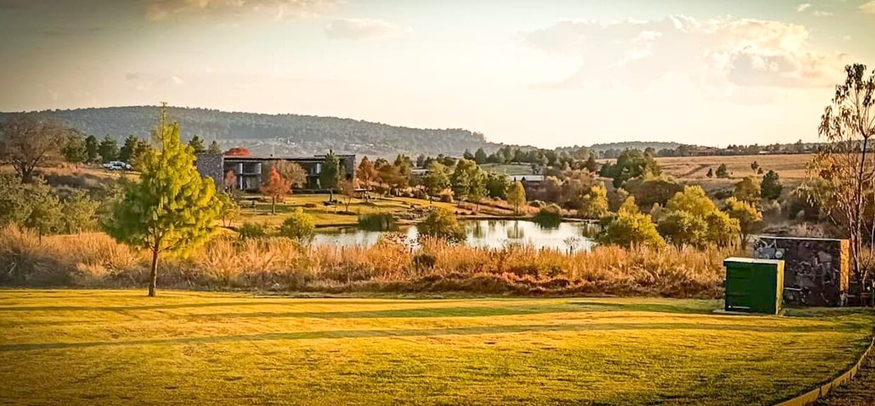 WhatsApp Image 2026-01-08 at 12.15.43 PM (1)