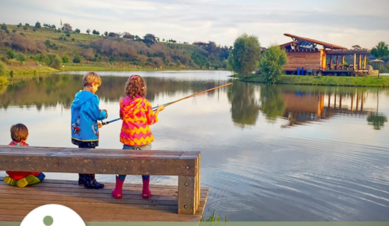 WhatsApp Image 2026-01-08 at 12.19.37 PM (1)