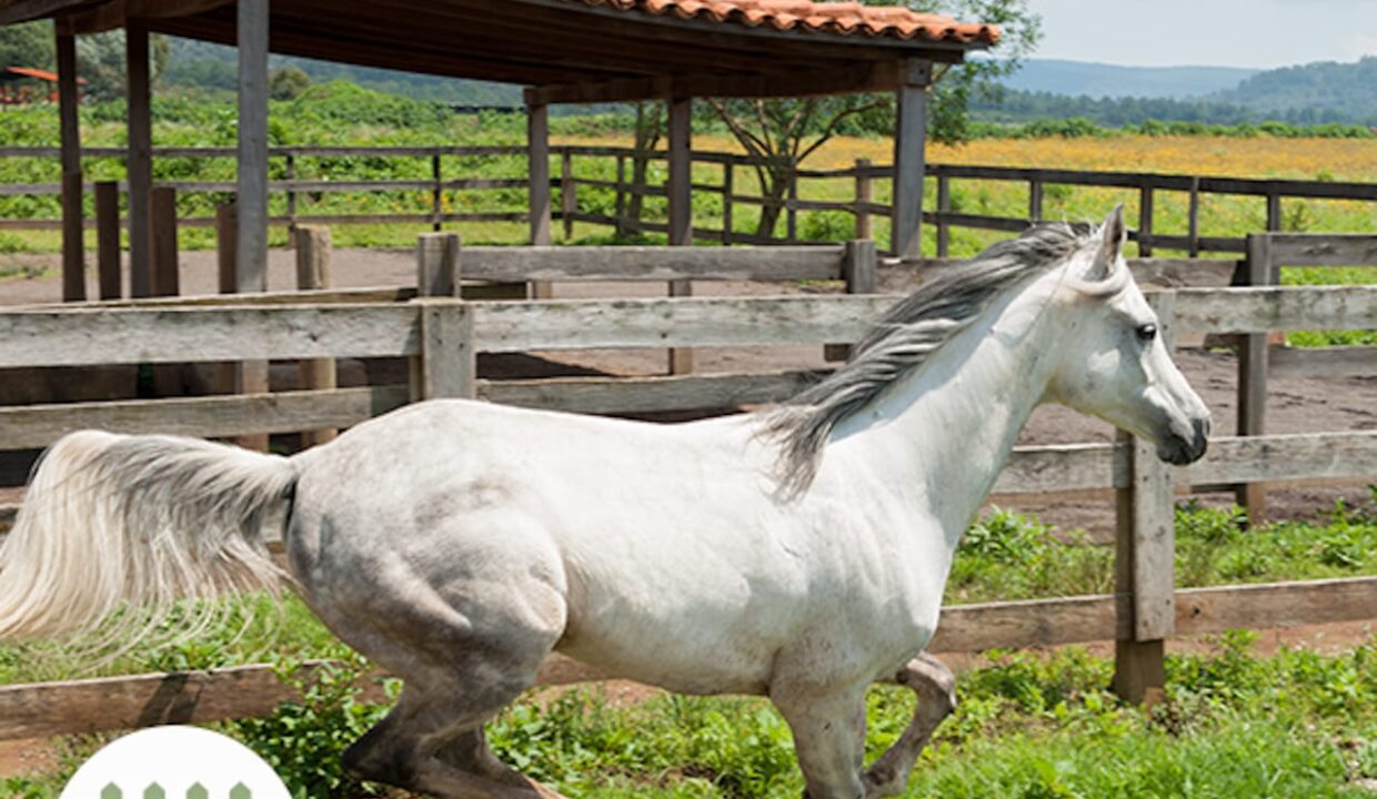 WhatsApp Image 2026-01-08 at 12.20.55 PM (1)