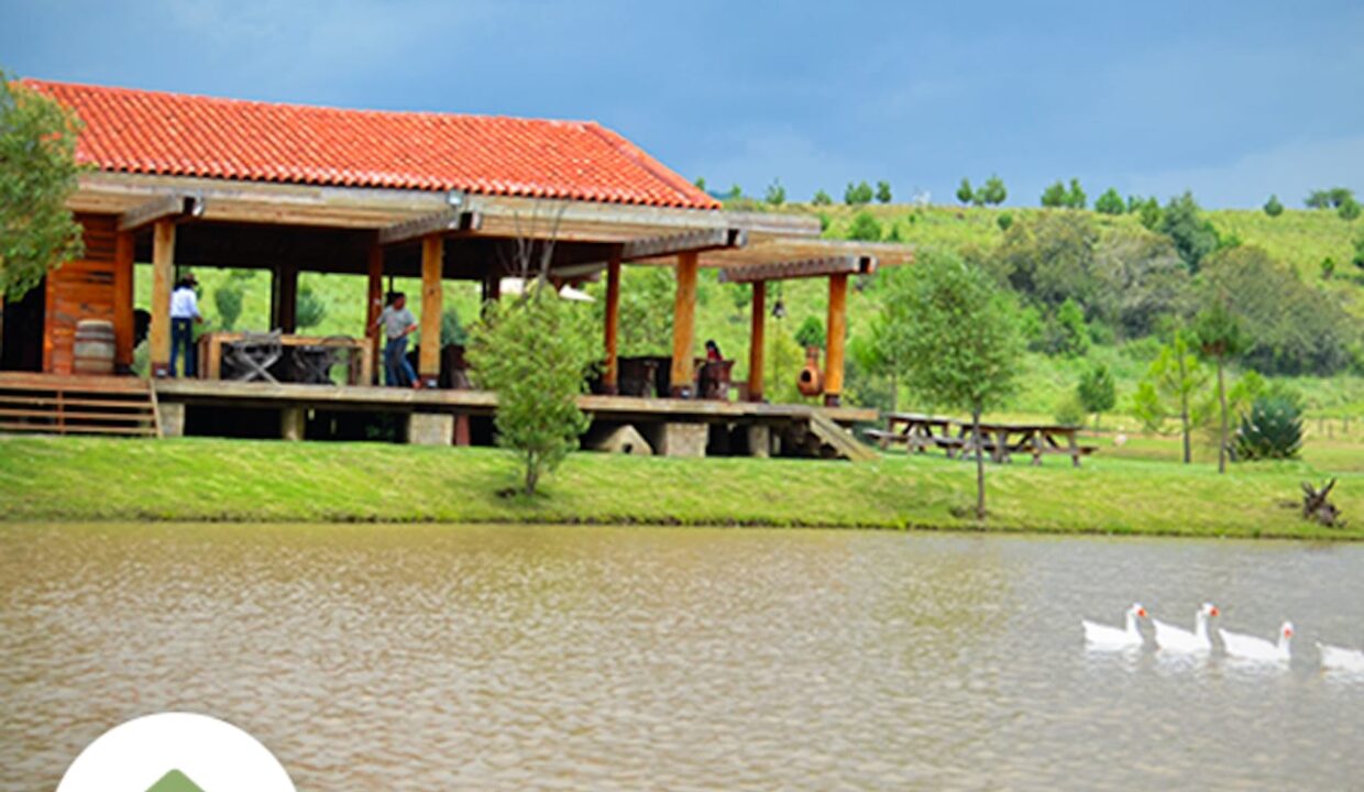 WhatsApp Image 2026-01-08 at 12.34.48 PM (1)