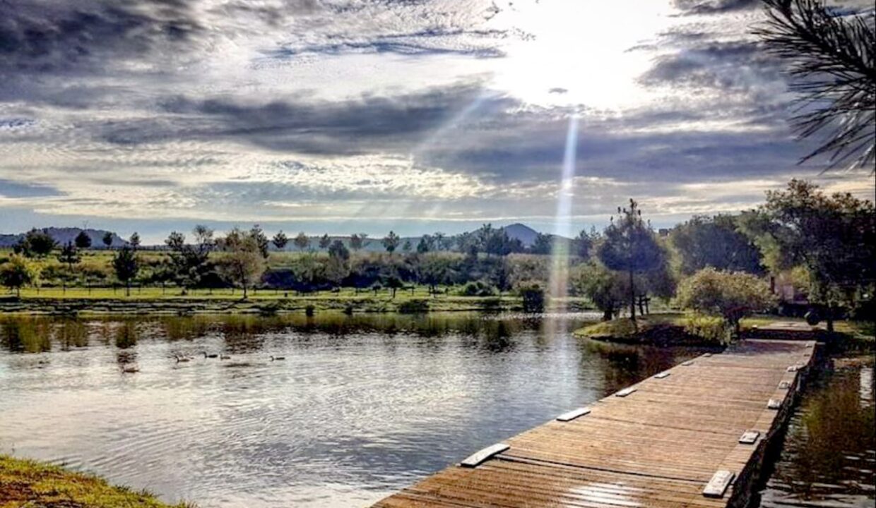 WhatsApp Image 2026-01-08 at 12.36.06 PM (1)