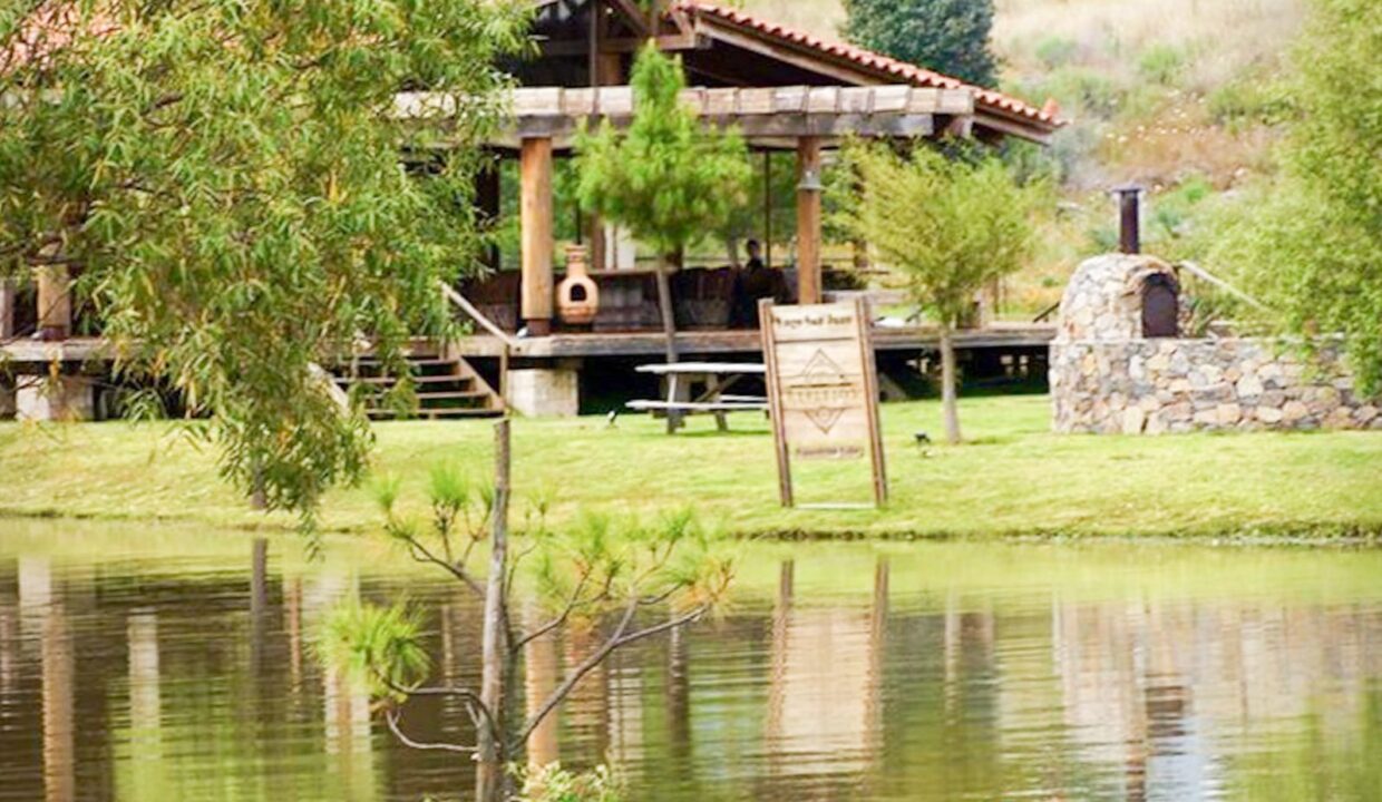 WhatsApp Image 2026-01-08 at 12.36.30 PM (1)