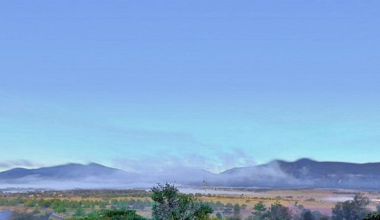 WhatsApp Image 2026-01-08 at 12.38.10 PM (1)