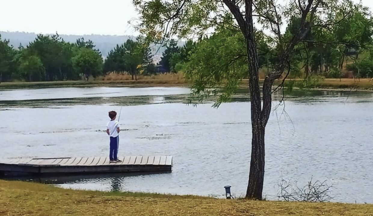 WhatsApp Image 2026-01-08 at 12.44.03 PM (1)