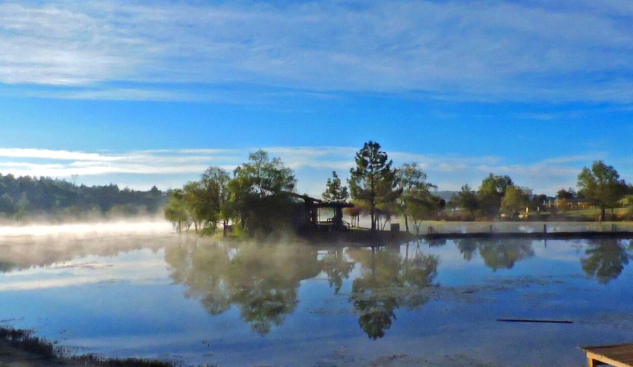 WhatsApp Image 2026-01-08 at 12.44.24 PM (1)