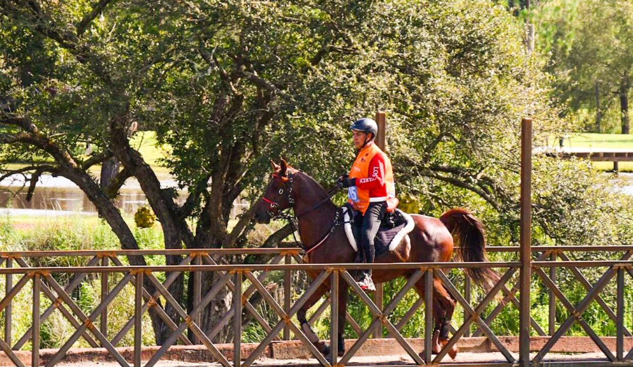 WhatsApp Image 2026-01-08 at 12.45.12 PM (1)