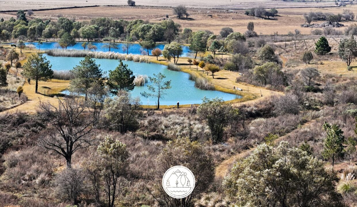 WhatsApp Image 2026-01-08 at 12.45.39 PM (1)