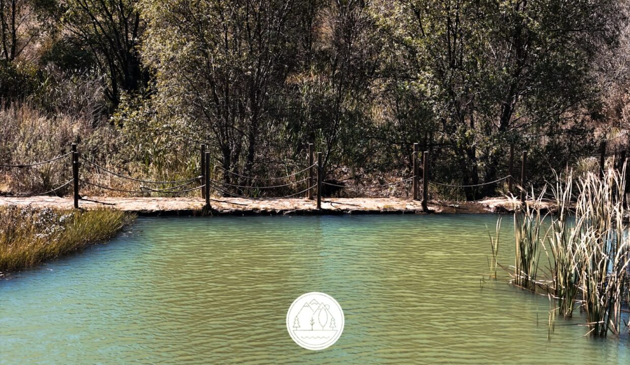 WhatsApp Image 2026-01-08 at 12.57.12 PM (1)