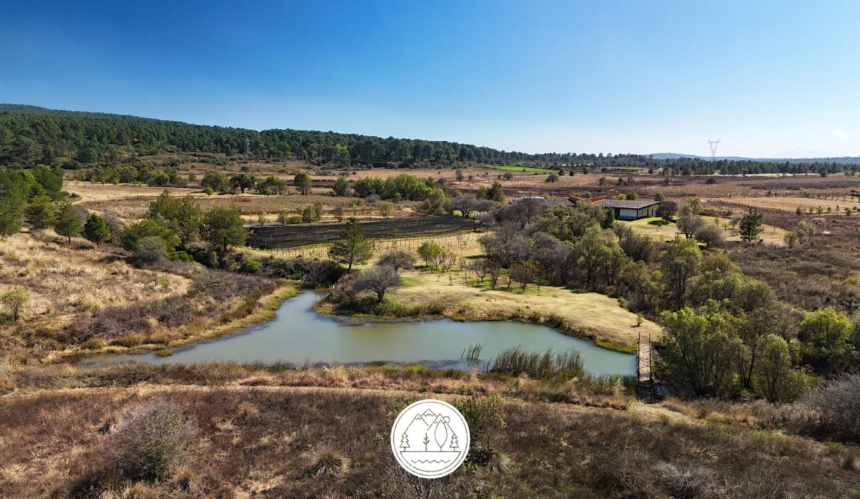 WhatsApp Image 2026-01-08 at 12.57.29 PM (1)