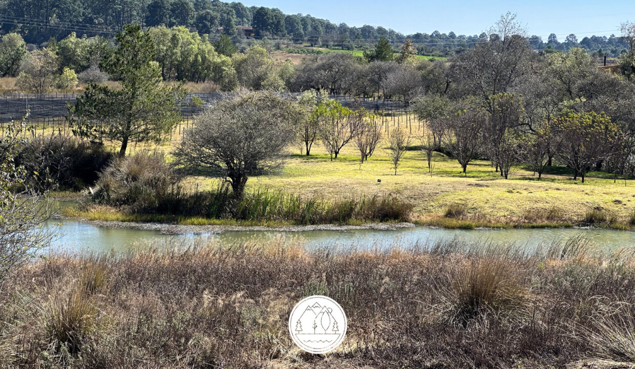 casaborrego040 editada (1)